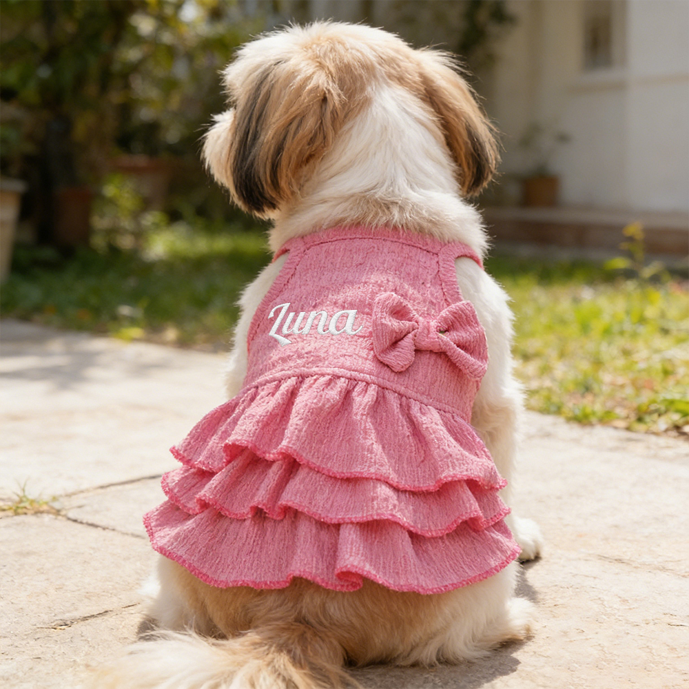 Personalized Embroidered Name Pet Color Princess Dress | inCloth41
