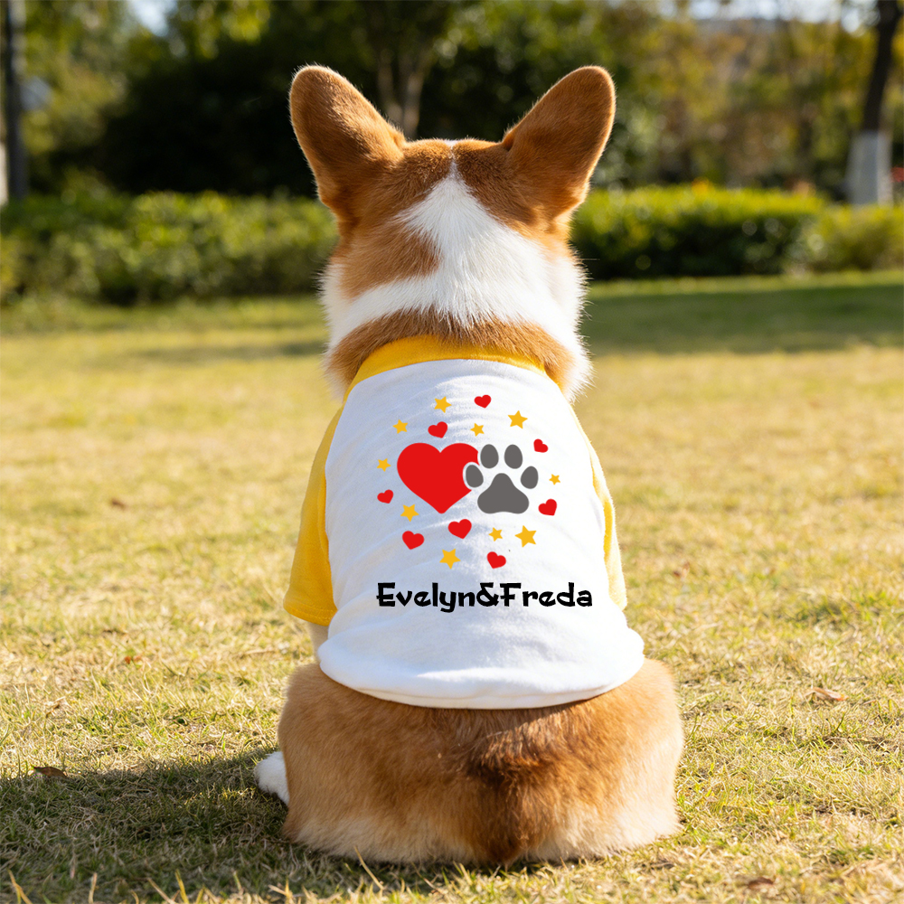 Personalized Mother's Day Color-Block Pet T-shirt  | inCloth42