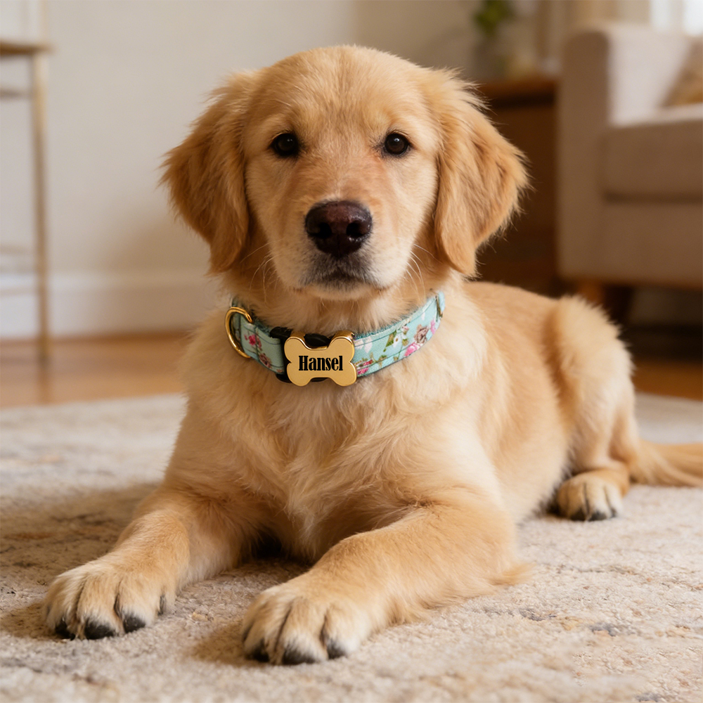 Personalized Engraved ID Pet Collar | inAccs40