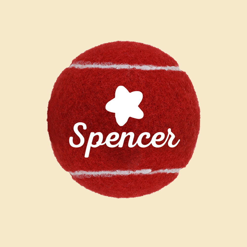 Personalized Name Pet Tennis Ball | inToy09