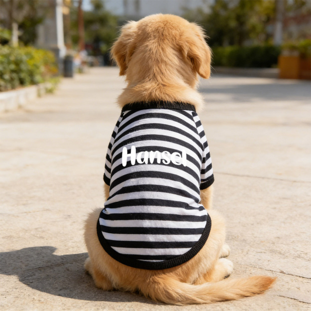 Personalized Name Summer Striped Pet T-Shirt | inCloth76