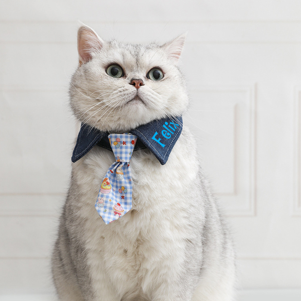 Personalized Name Adjustable Pet Tie Collar | inaccs46