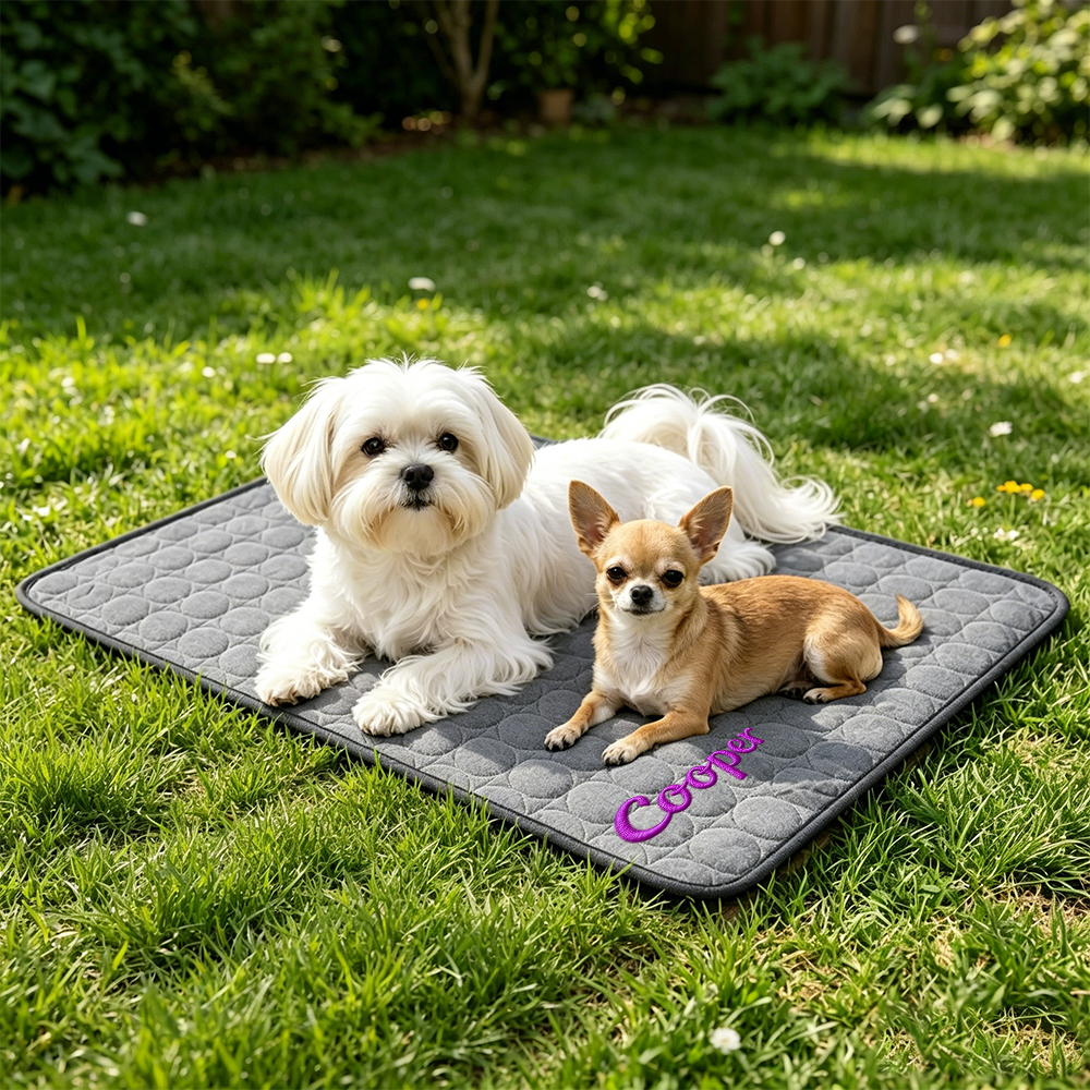 Personalized Embroidered Name Pet Summer Cooling Mat | inaccs45