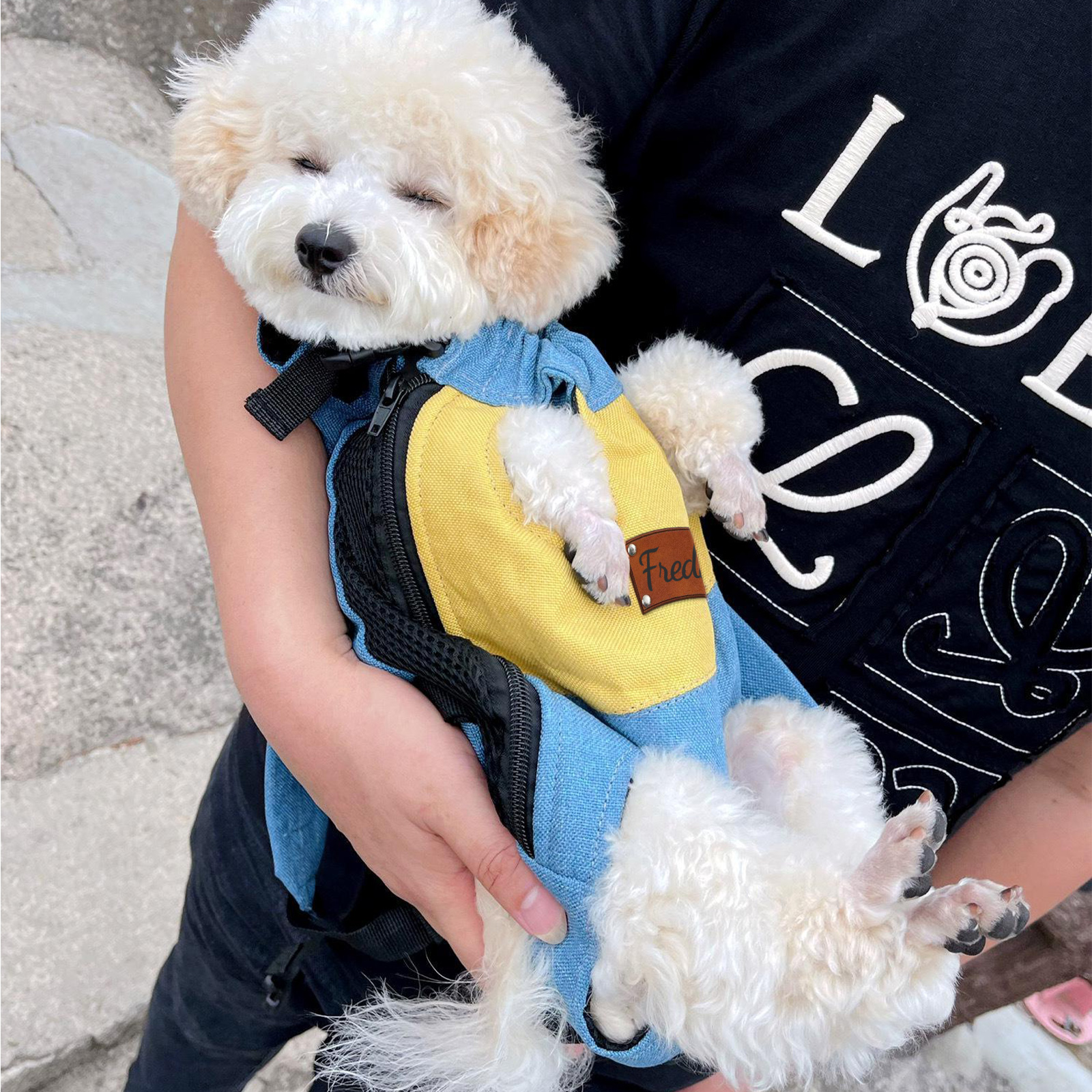 Personalized Leather Patch Name Pet Carrier Backpack | KKPet177