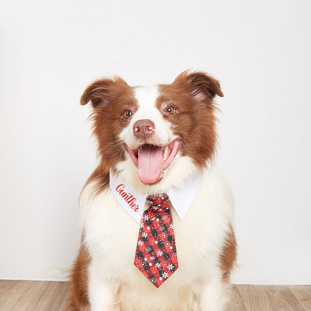Personalized Name Christmas Pet Tie | KKPet327