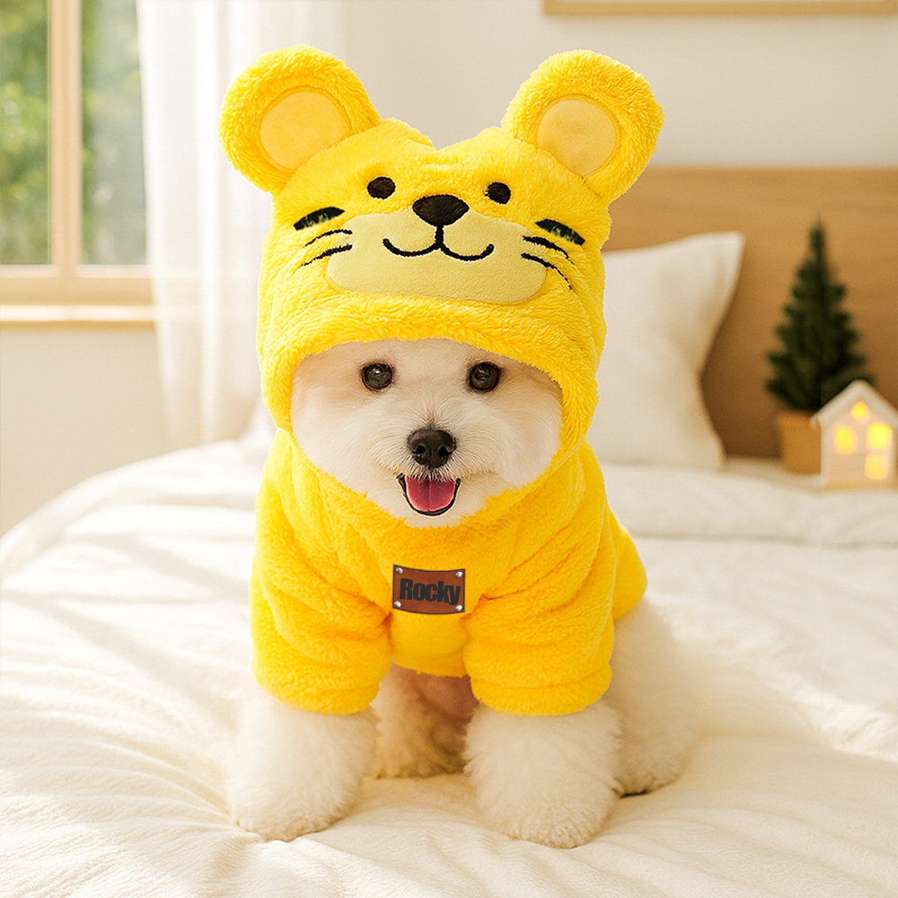Personalized Leather Patch Name Pet Winter Hoodie | KKPet329