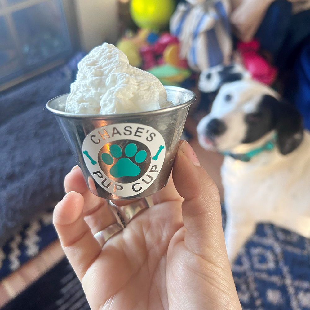 Personalized Pet Stainless Steel Reusable Mini Pup Cup Mug | BKPet273