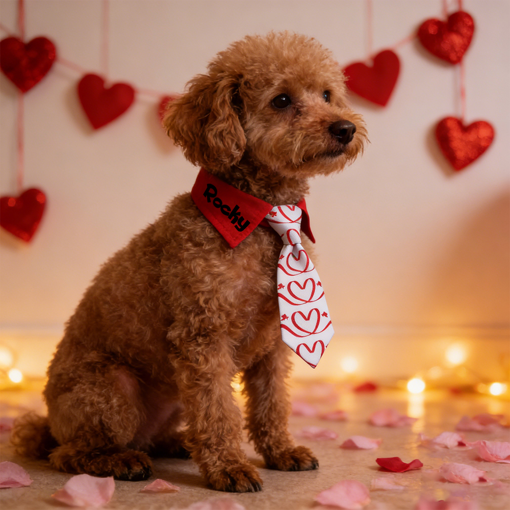 Personalized Pet Valentine's Day Tie Collar | inAccs01