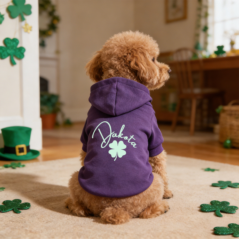 Personalized Name St. Patricks Day Pet Hoodie | inCloth04