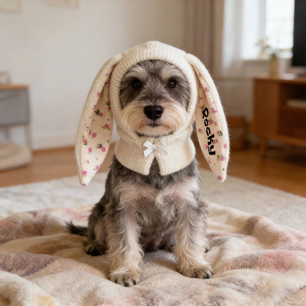 Personalized Easter Pet Knitted Bunny Ear Hat | inAccs14