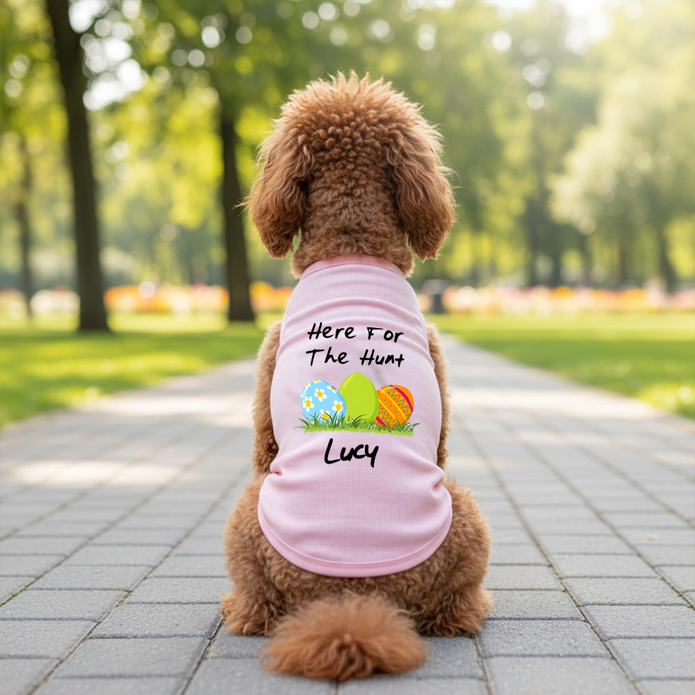 Personalized Easter egg hunt Pet Shirt | inCloth13