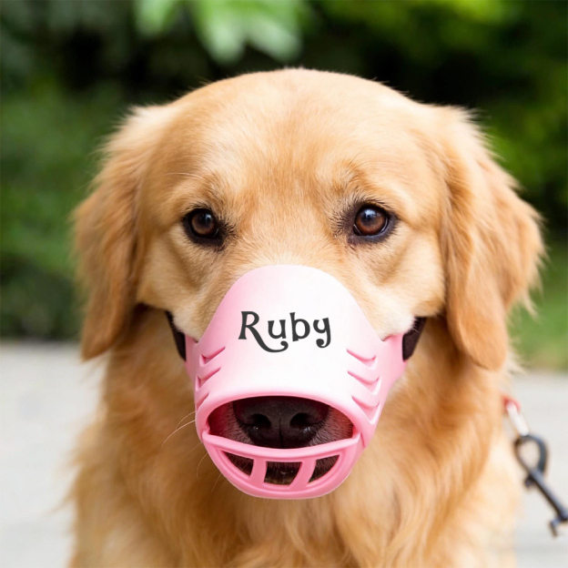 Personalized Silicone Dog Safe Anti-Biting Chewing Barking Muzzle | inAccs22