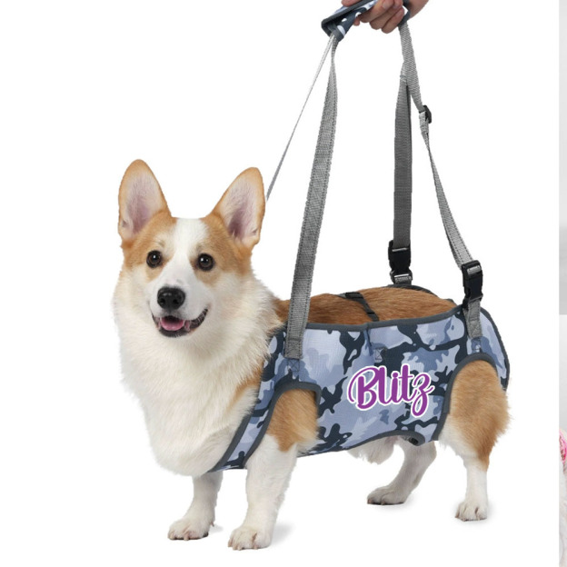 Personalized Name Dog Walking Aid Harness | inAccs24