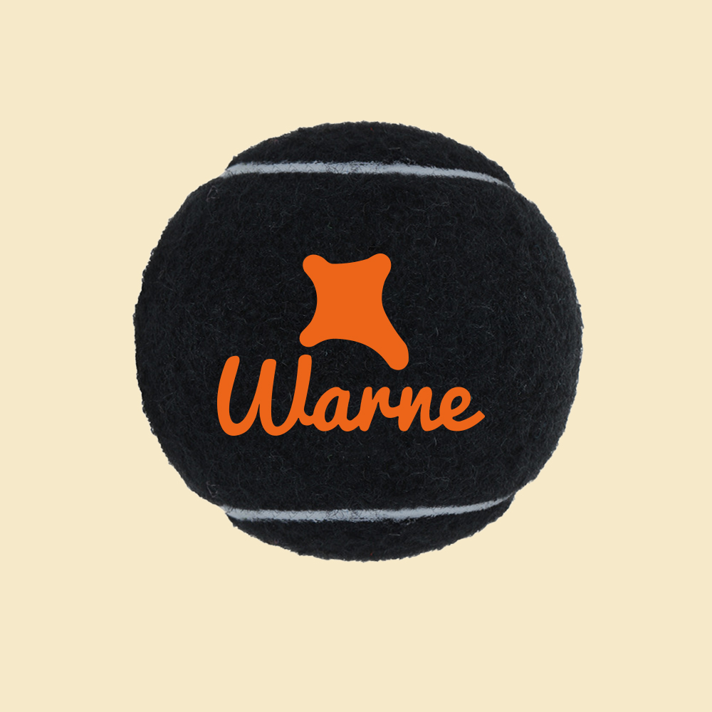 Personalized Name Pet Tennis Ball | inToy09
