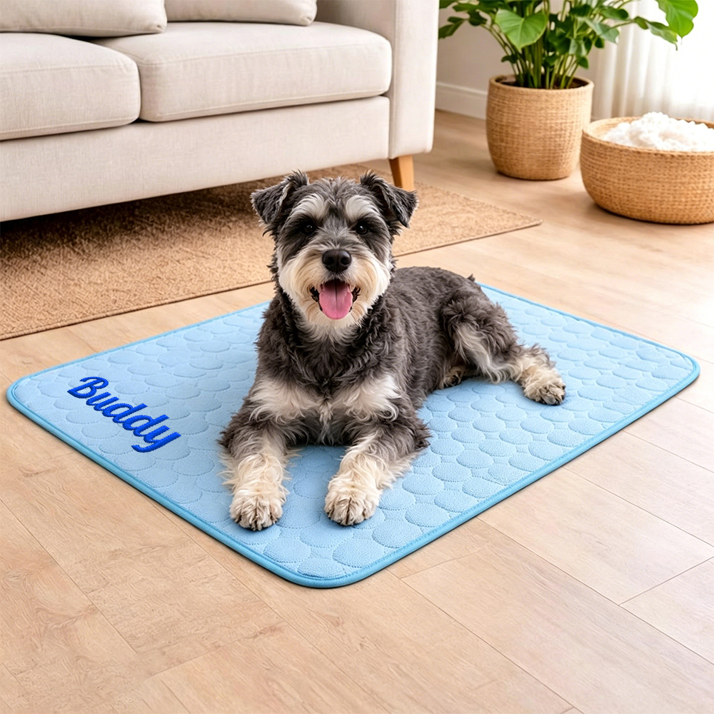 Personalized Embroidered Name Pet Summer Cooling Mat | inaccs45