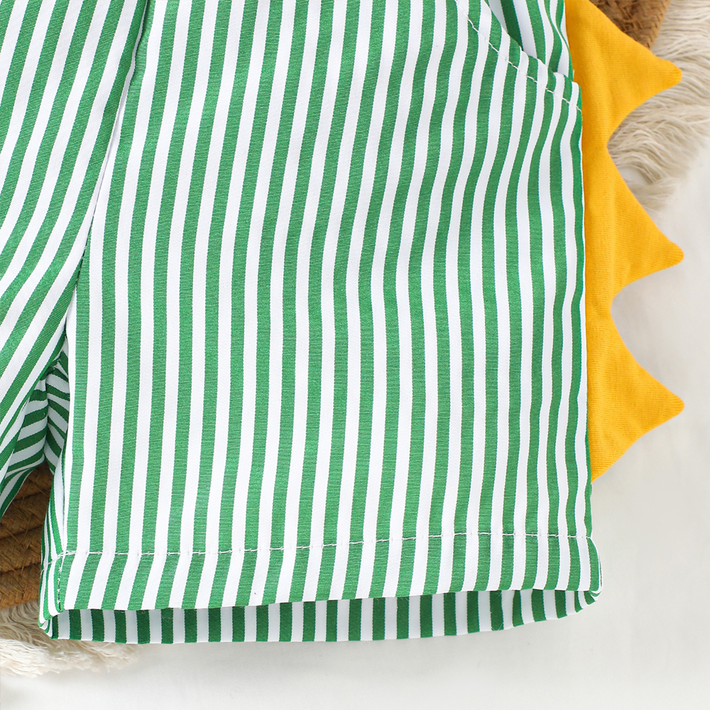 Personalized Baby Boys Dinosaur Embroidered Horns T-Shirt Shorts Outfit Set | CWBaby191