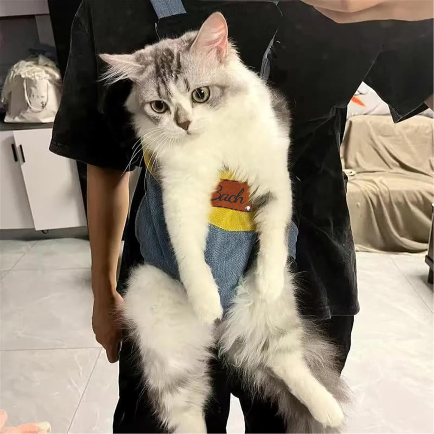 Personalized Leather Patch Name Pet Carrier Backpack | KKPet177