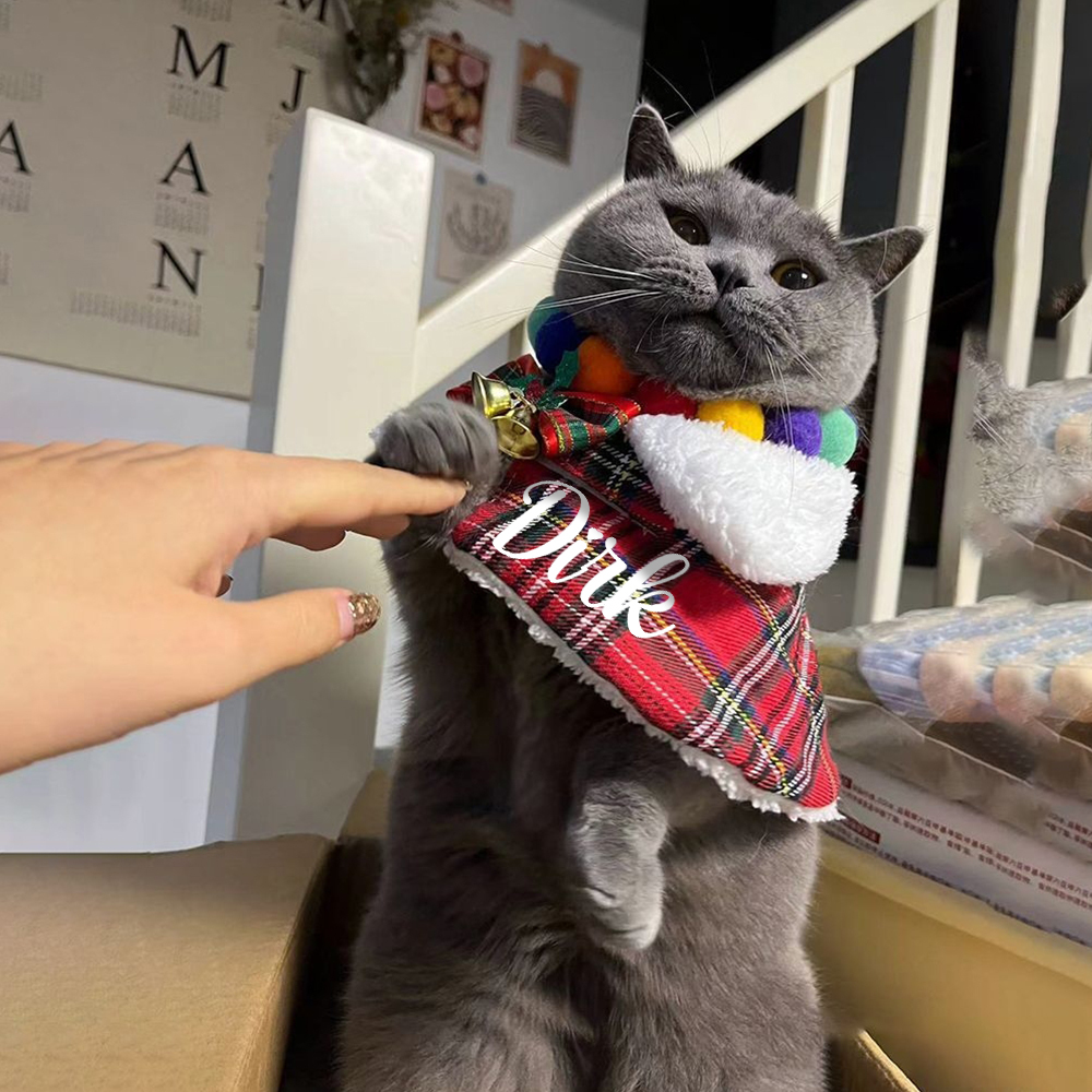 Personalized Christmas Pet Scarf with Plush Collar | KKPet315