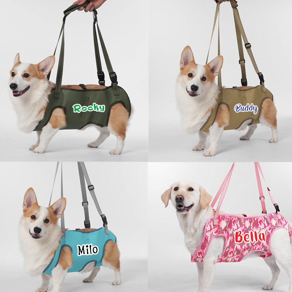 Personalized Name Dog Walking Aid Harness | inAccs24