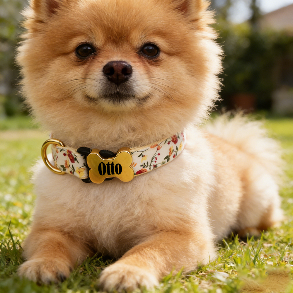 Personalized Engraved ID Pet Collar | inAccs40