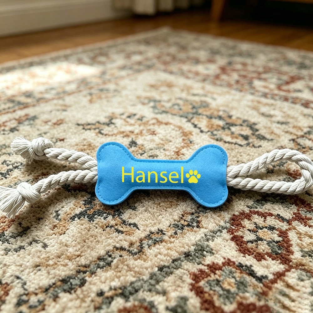 Personalized Pet Bone-Shaped Plush Toy | inToy10