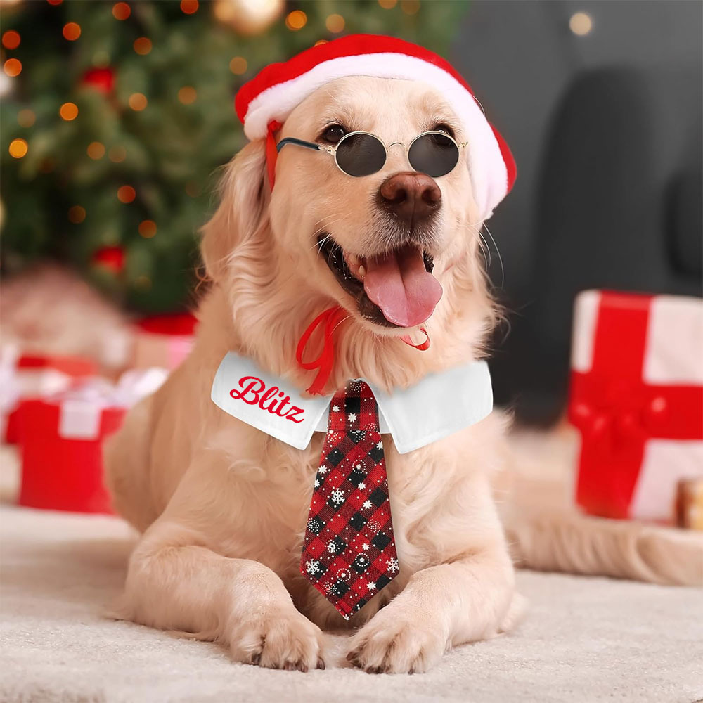 Personalized Name Christmas Pet Tie | KKPet327