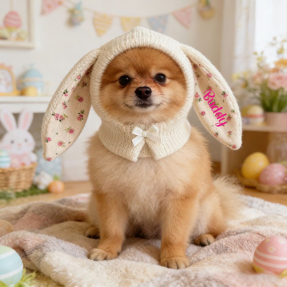 Personalized Easter Pet Knitted Bunny Ear Hat | inAccs14