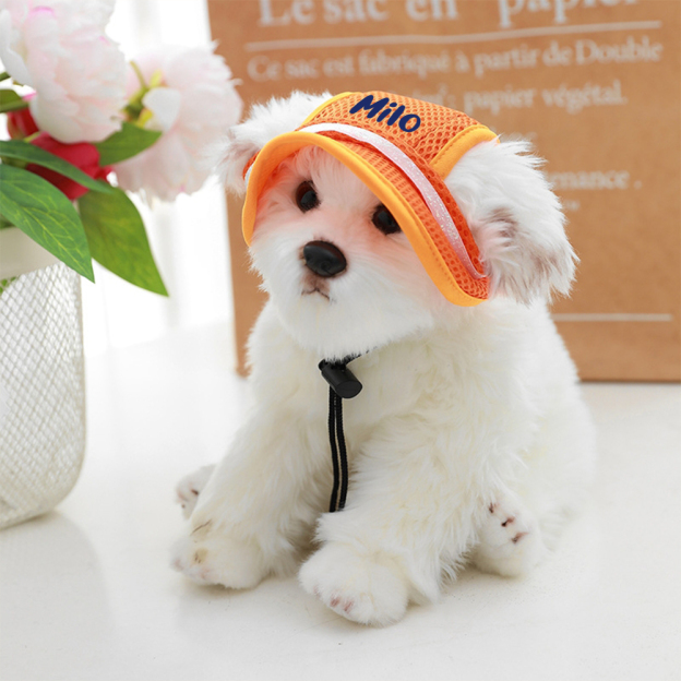 Personalized Name Pet Breathable Mesh Hat | inHat02