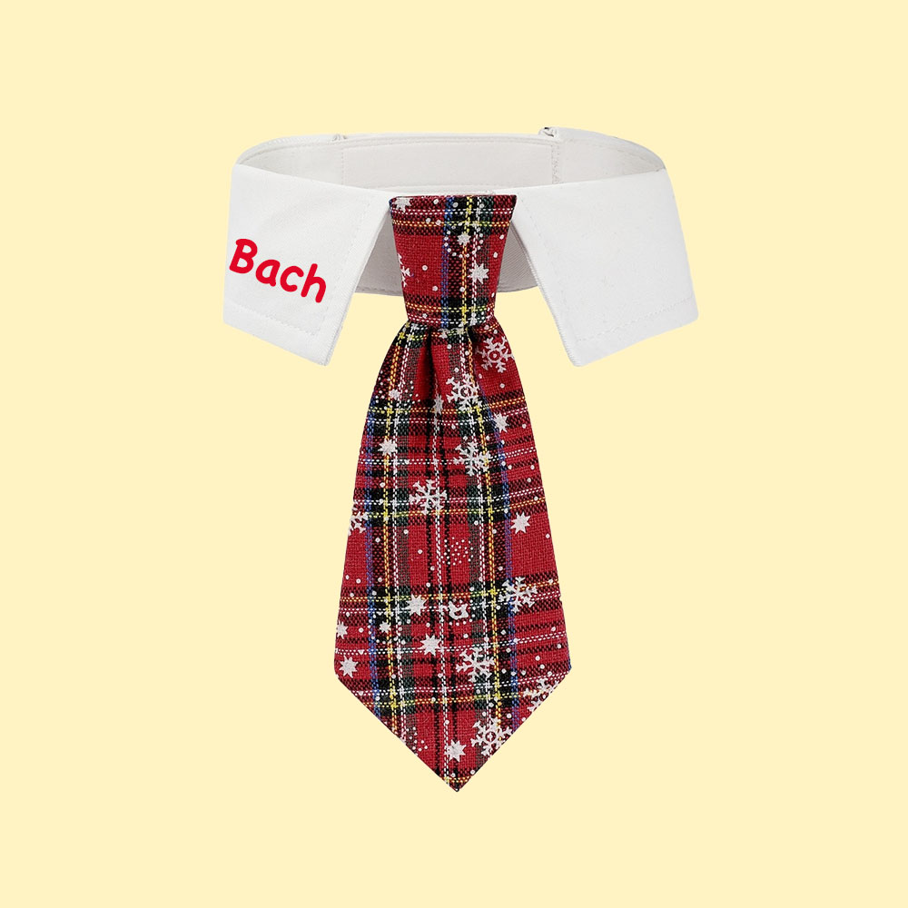 Personalized Name Christmas Pet Tie | KKPet327