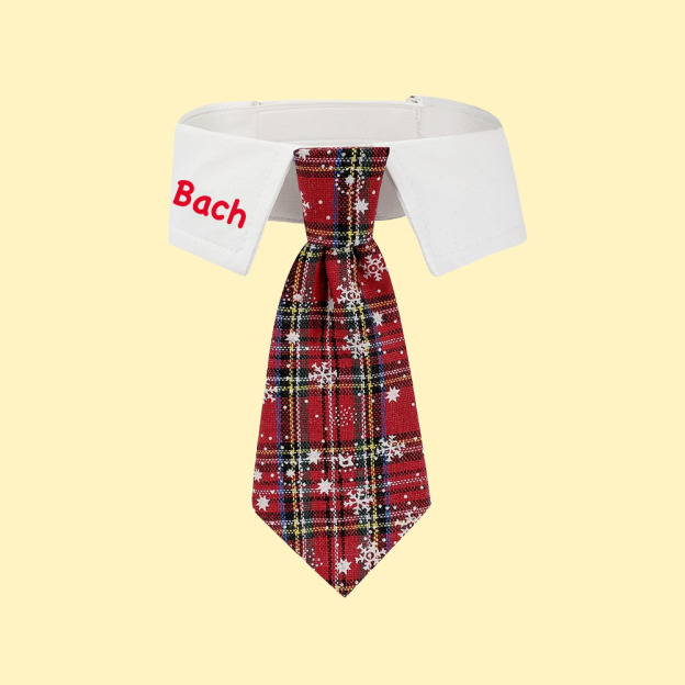 Personalized Name Christmas Pet Tie | KKPet327