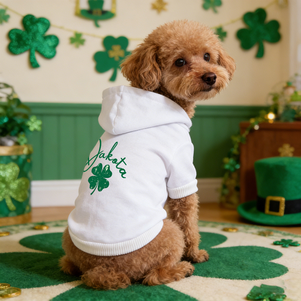 Personalized Name St. Patricks Day Pet Hoodie | inCloth04