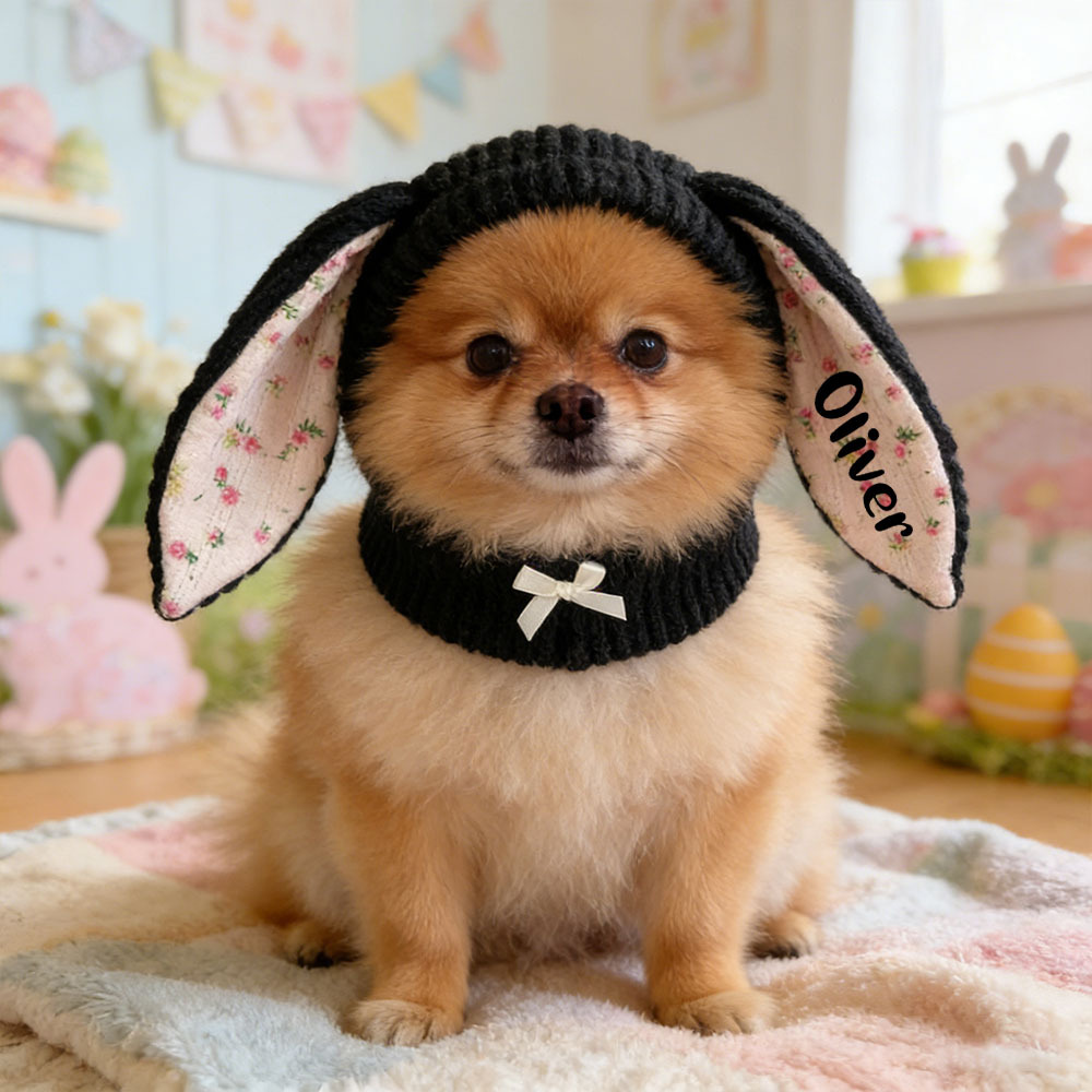 Personalized Easter Pet Knitted Bunny Ear Hat | inAccs14