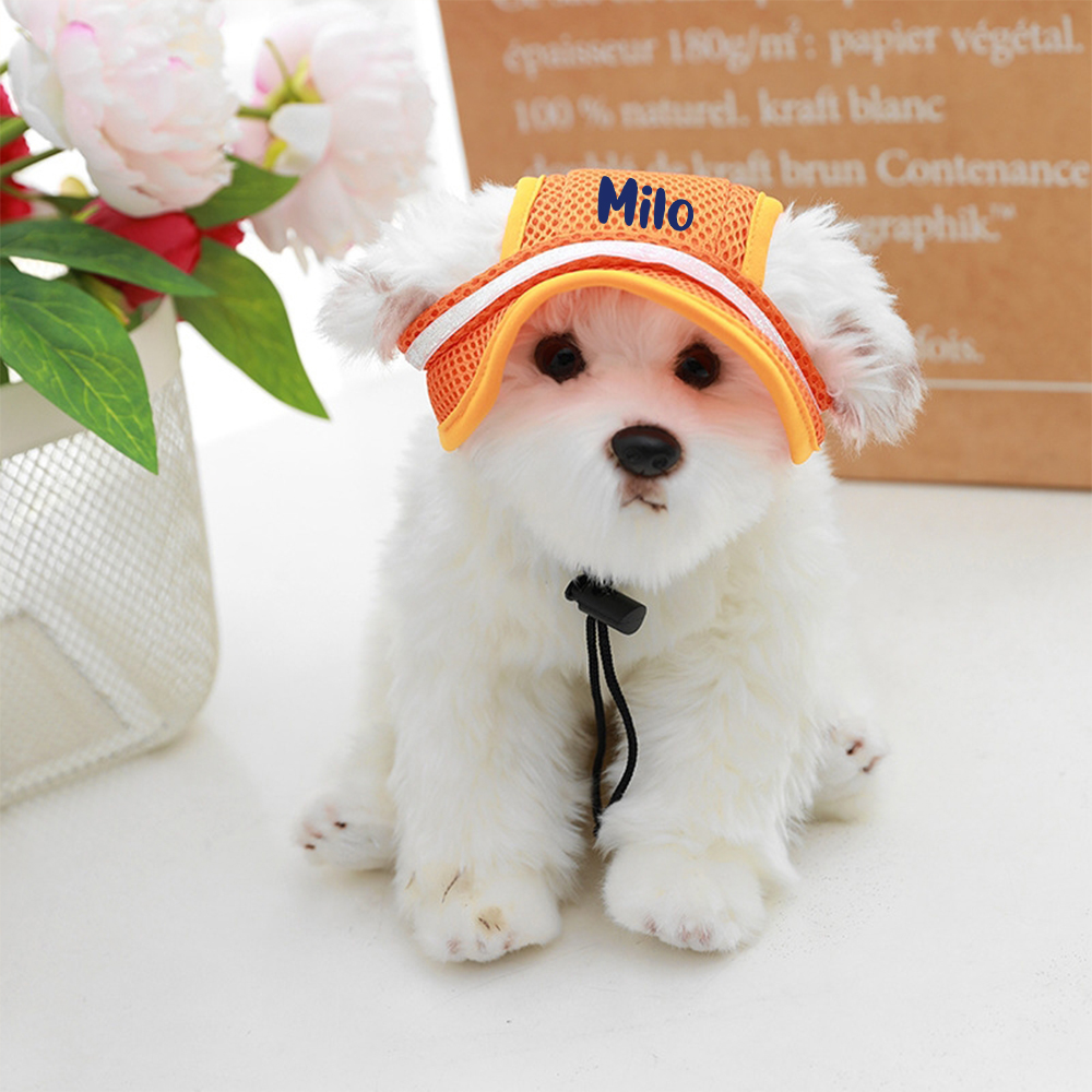 Personalized Name Pet Breathable Mesh Hat | inHat02