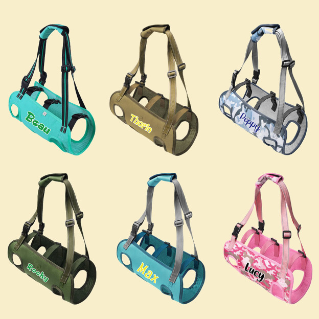 Personalized Name Dog Walking Aid Harness | inAccs24