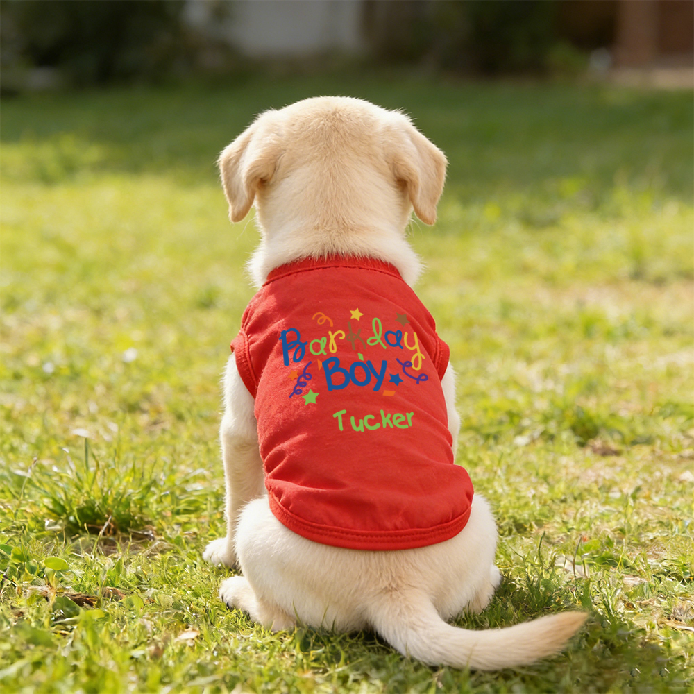 Personalized Name Birthday Pet Shirt | inCloth94