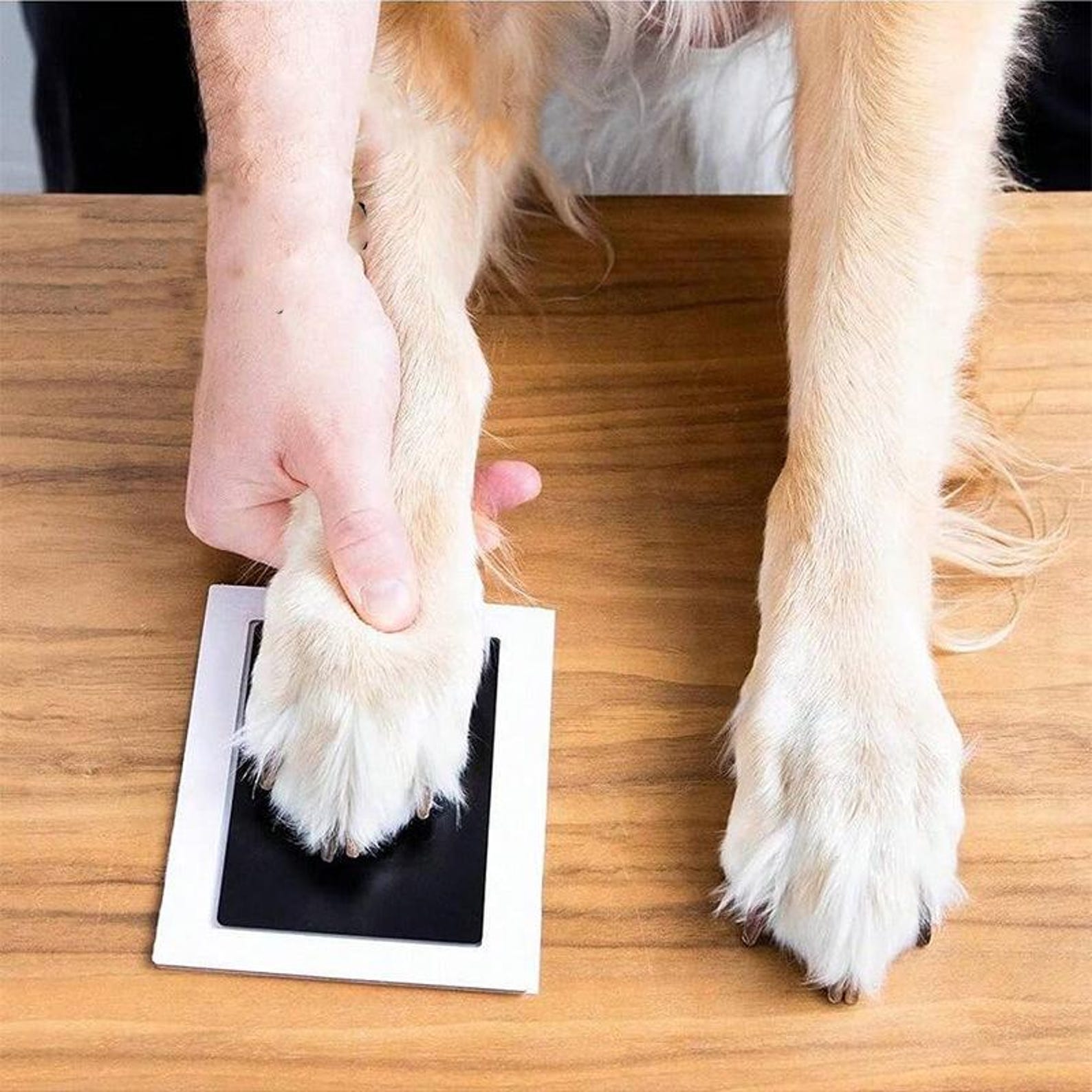 Pet Paw Print Kit Pet Memorial and Puppy Milestone Keepsake | inAccs44