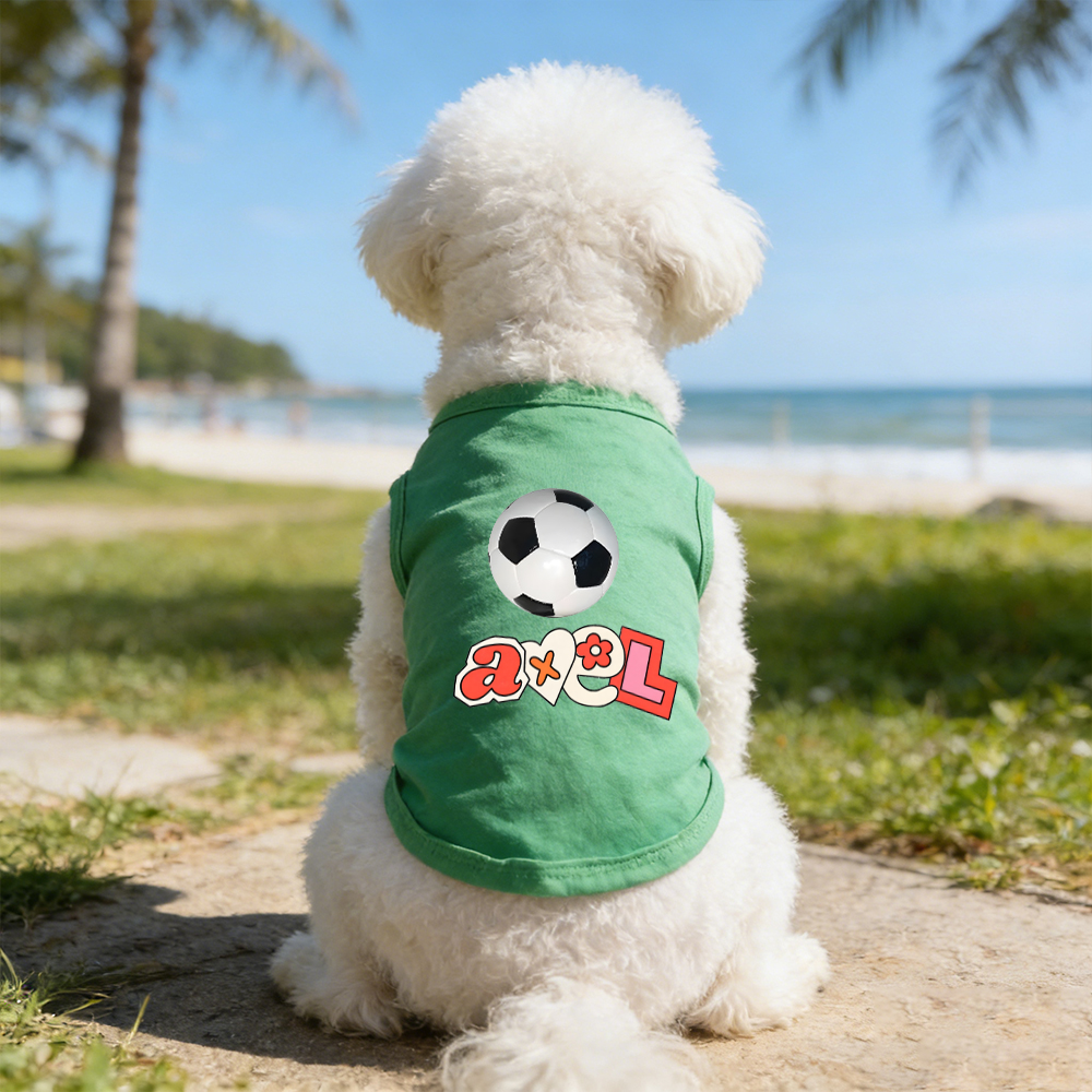 Personalized Name Funny Summer Pet Vest | inCloth89