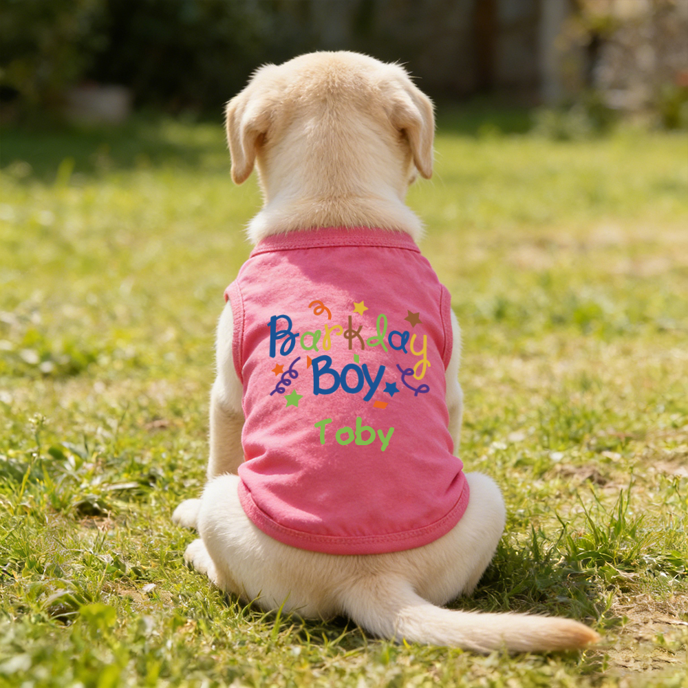 Personalized Name Birthday Pet Shirt | inCloth94