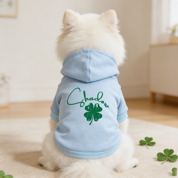Personalized Name St. Patricks Day Pet Hoodie | inCloth04