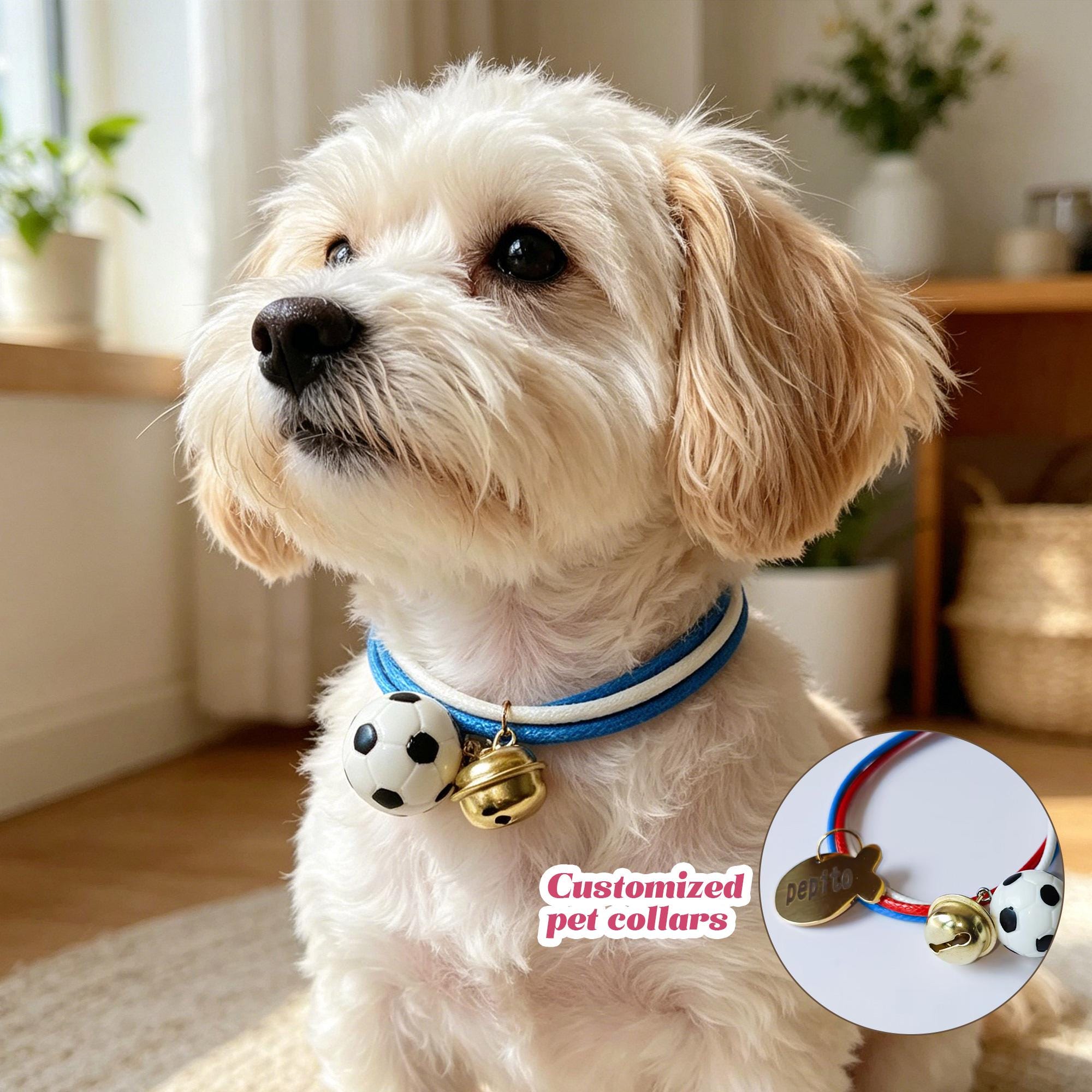 Personalized Engraved Name Soccer Pet Collar | inAccs50