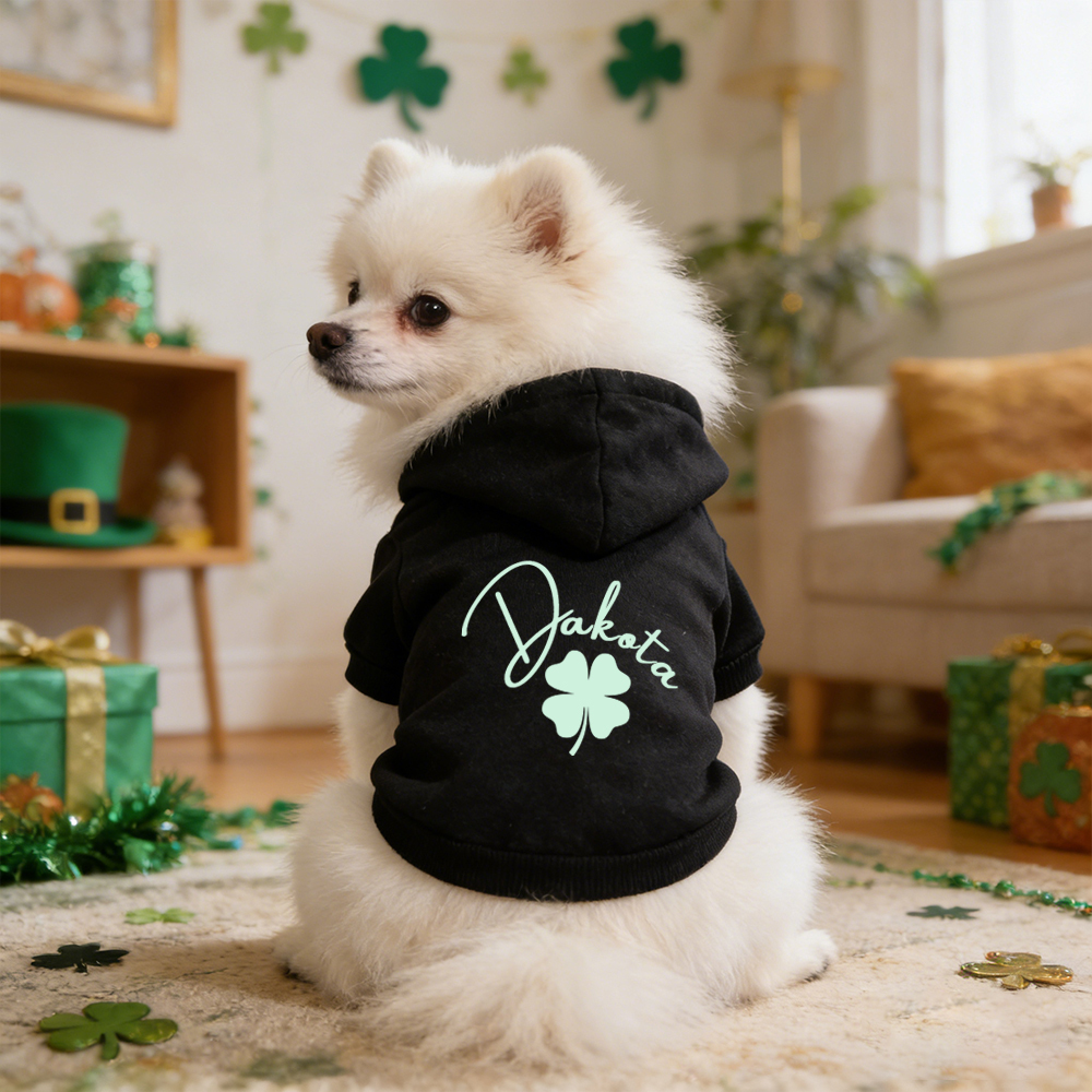 Personalized Name St. Patricks Day Pet Hoodie | inCloth04