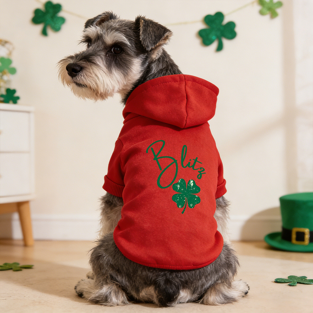 Personalized Name St. Patricks Day Pet Hoodie | inCloth04