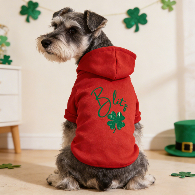 Personalized Name St. Patricks Day Pet Hoodie | inCloth04