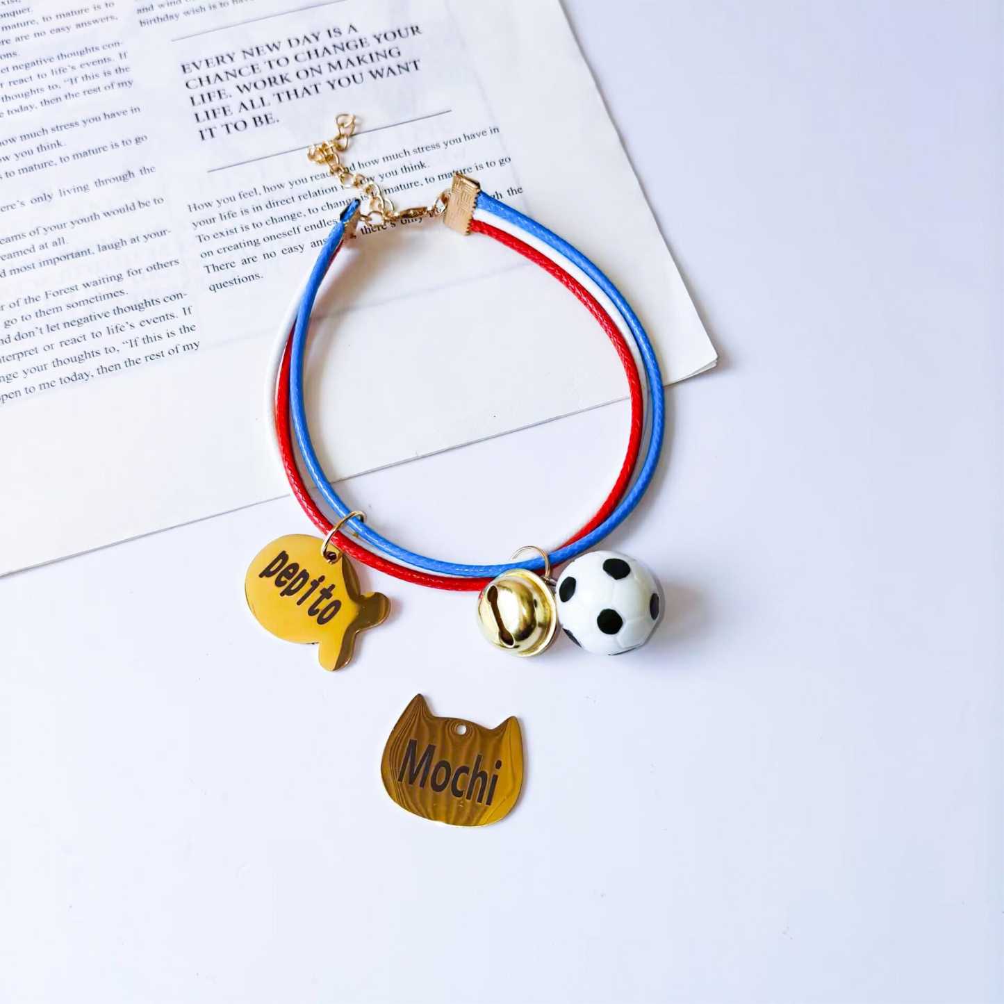 Personalized Engraved Name Soccer Pet Collar | inAccs50