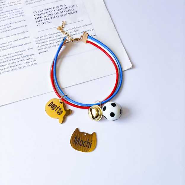 Personalized Engraved Name Soccer Pet Collar | inAccs50