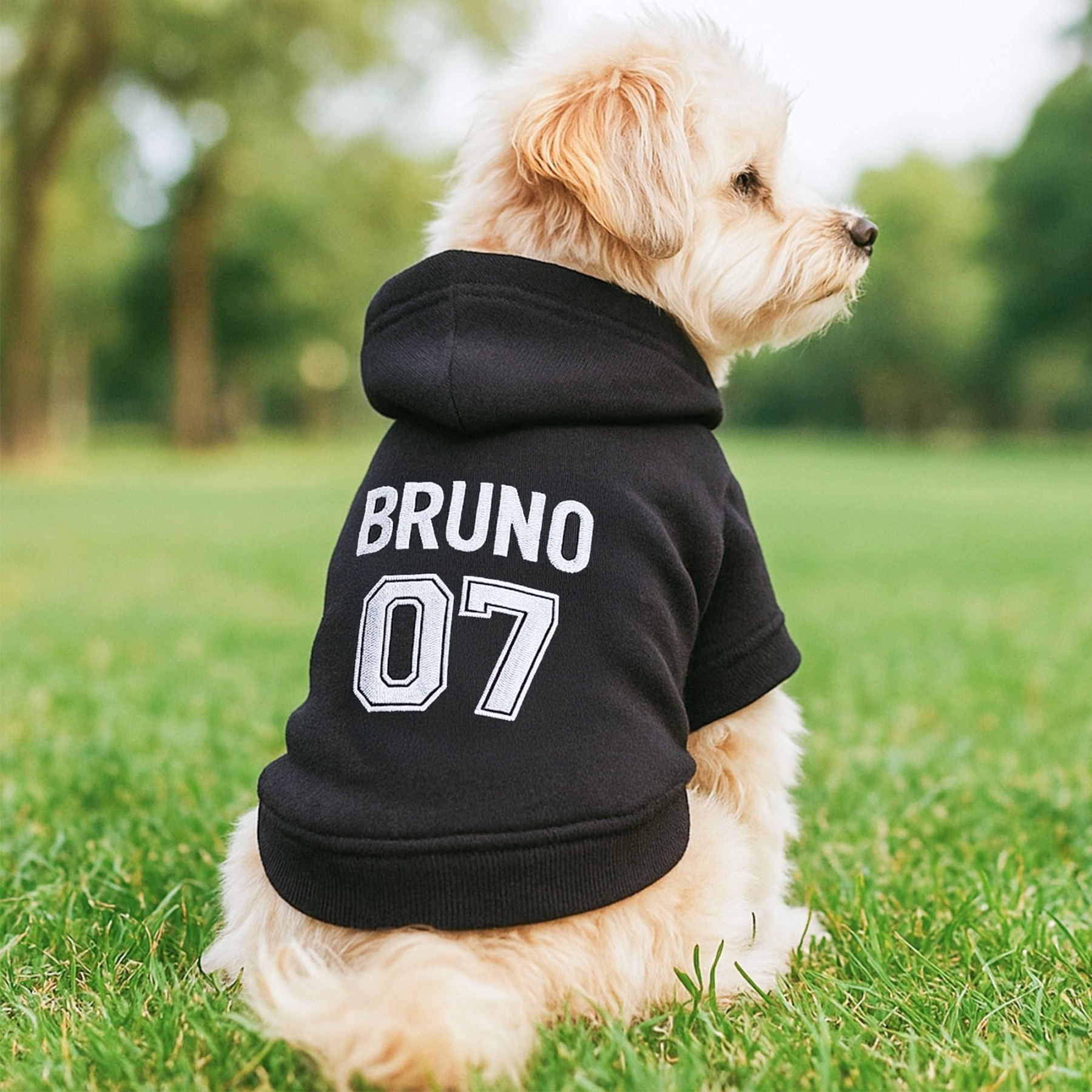 Personalized Embroidered Name Pet Birthday Hoodie | inCloth22