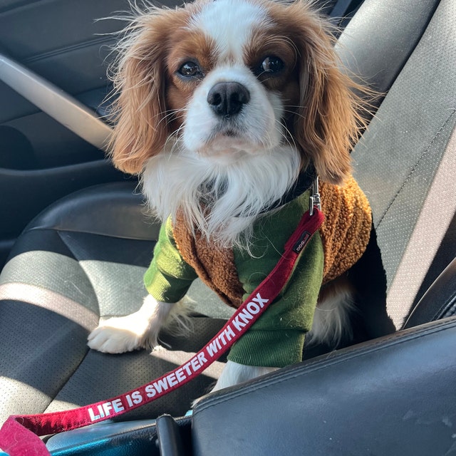 Personalized Microfiber Soft Pet Leash | inAccs56