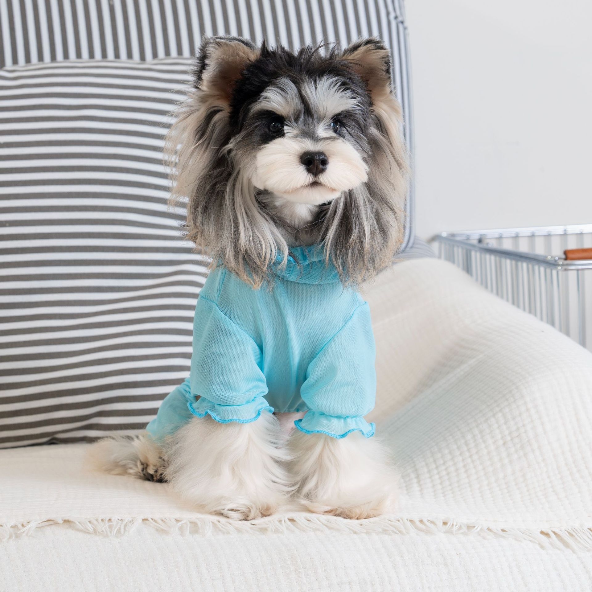 Personalized Name Pet Breathable Sun & Mosquito Guard Onesie | inCloth72