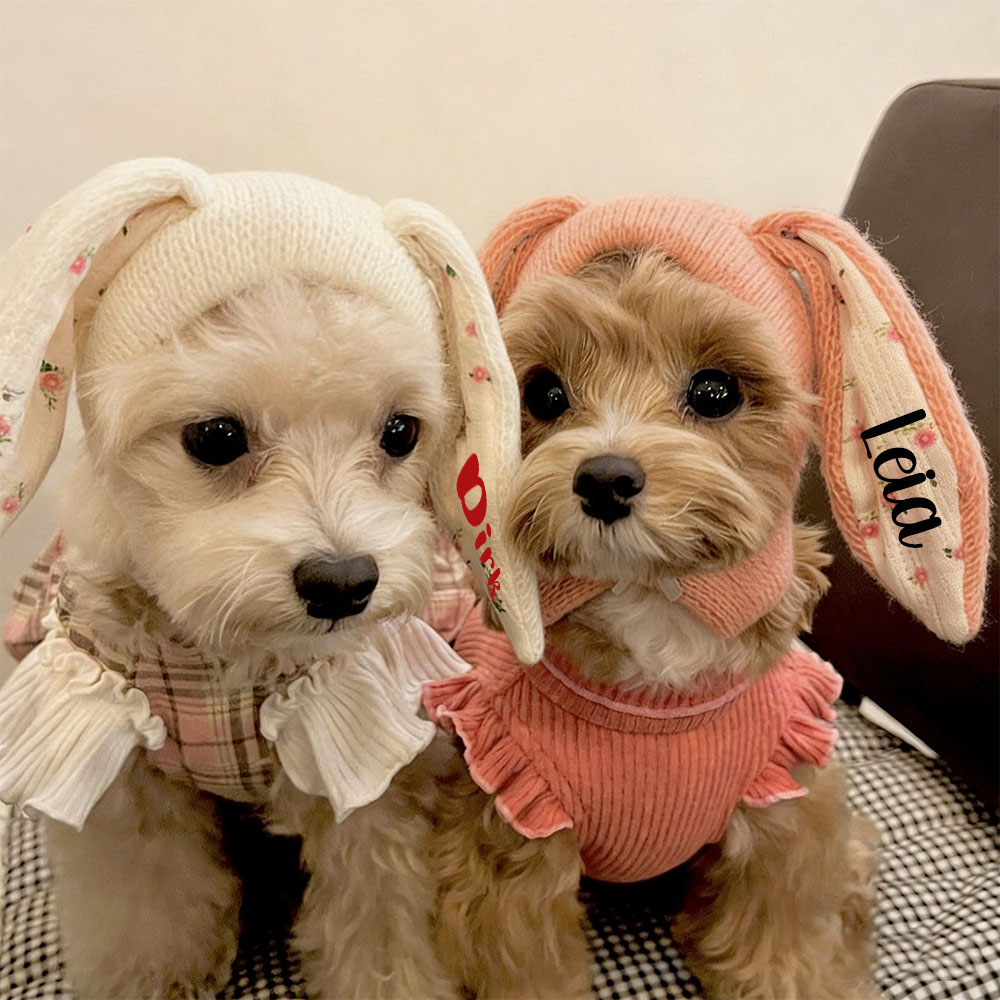 Personalized Easter Pet Knitted Bunny Ear Hat | inAccs14