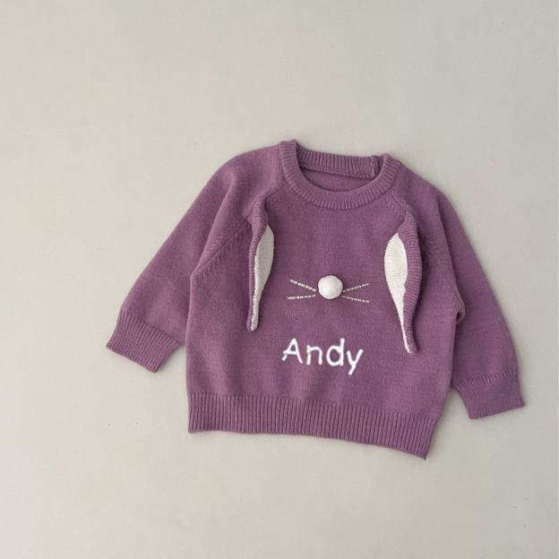 Personalized Embroidered Cute Animal Kids Sweater | inSweater04